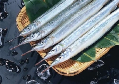 Cá kìm nhập khẩu