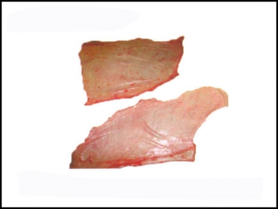Mỡ trâu