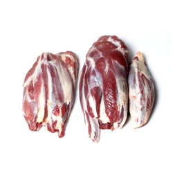 Bắp rùa to